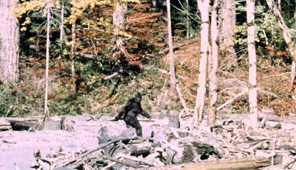 Supuesta imagen real de bigfoot