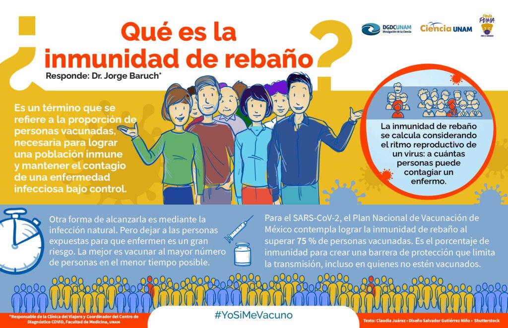 Inmunidad colectiva infografía explicativa
