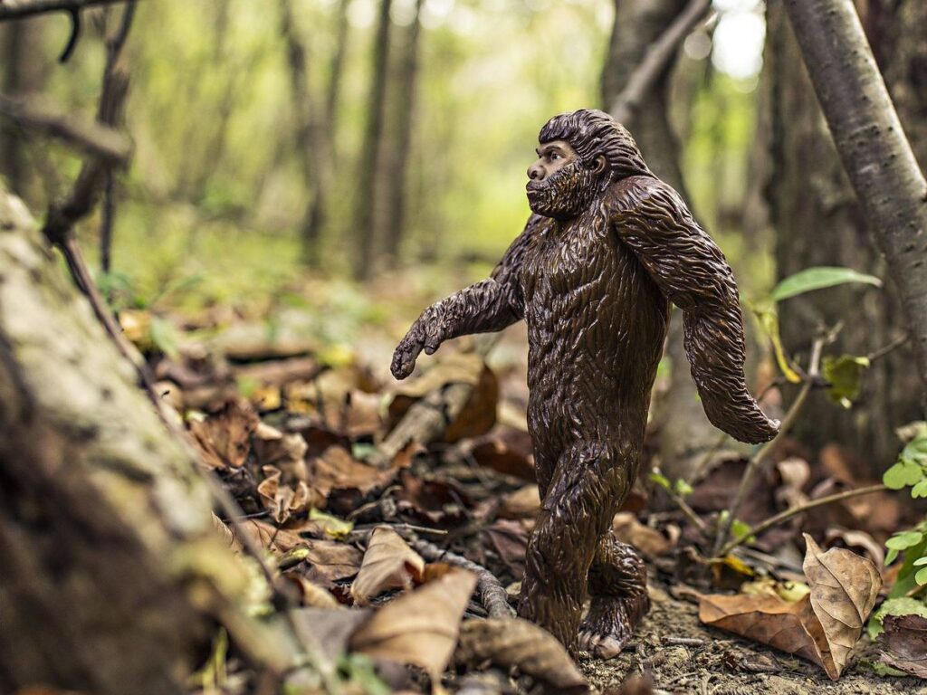 En Estados Unidos llevan mucho tiempo interesados en encontrar al Bigfoot.
