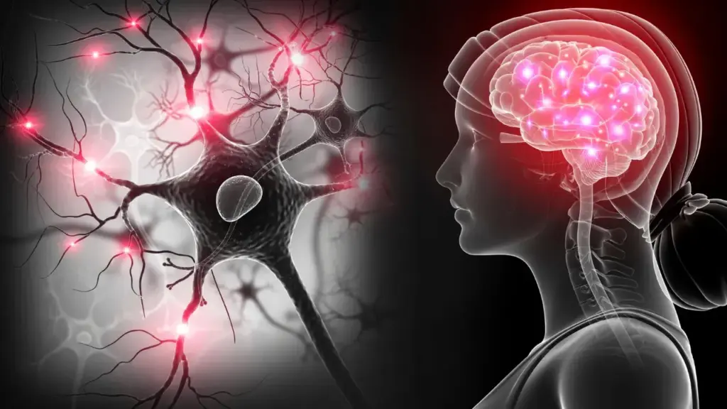 Neuroplasticidad cerebral y autohipnosis